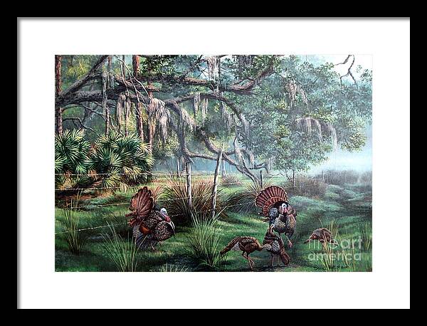 Florida Landscape Framed Print featuring the painting Spring Dance-Osceola Turkeys by Daniel Butler