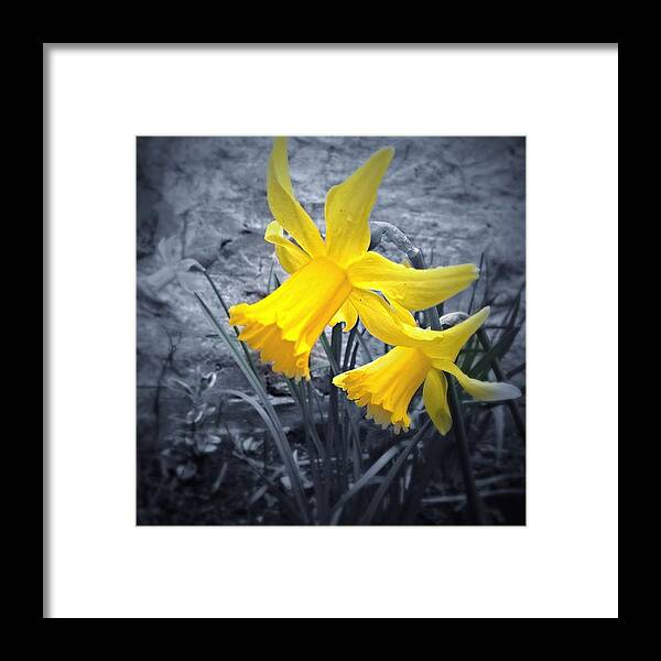 Beautiful Framed Print featuring the photograph Spring Equinox - Bangor by Unseen Moments