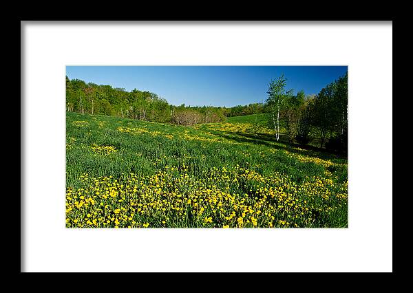 Nature Framed Print featuring the photograph Spring Field 2 by Edward Myers