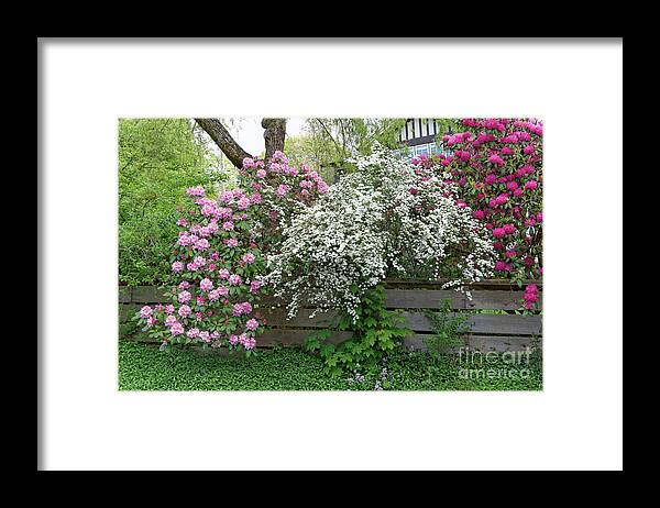 Spring Flowers Framed Print featuring the photograph Spring Flower Garden by John Mitchell