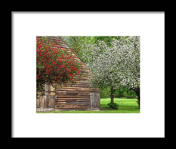 Flowers Framed Print featuring the photograph Spring Flowers and the Barn by Nancy De Flon