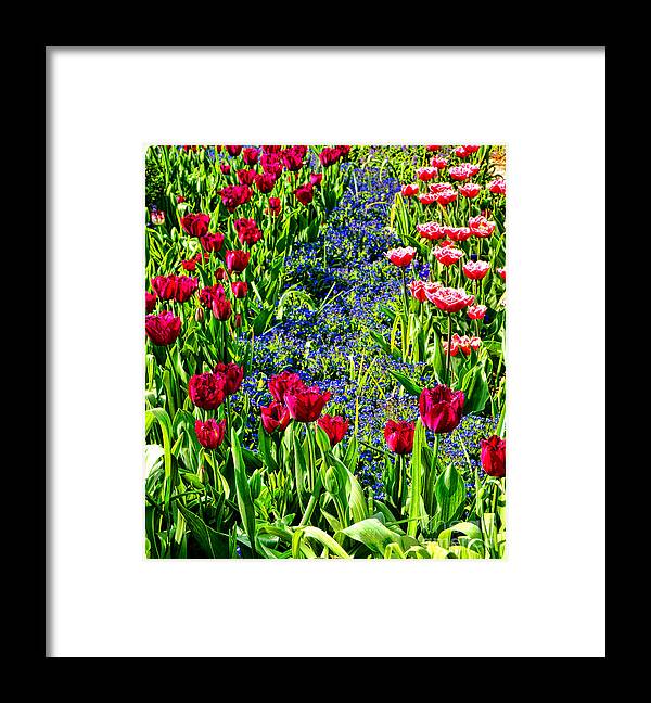 Spring Framed Print featuring the photograph Spring Flowers Impression by Olivier Le Queinec