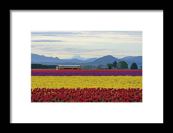 Spring Framed Print featuring the digital art Spring in Skagit Valley by Michael Lee