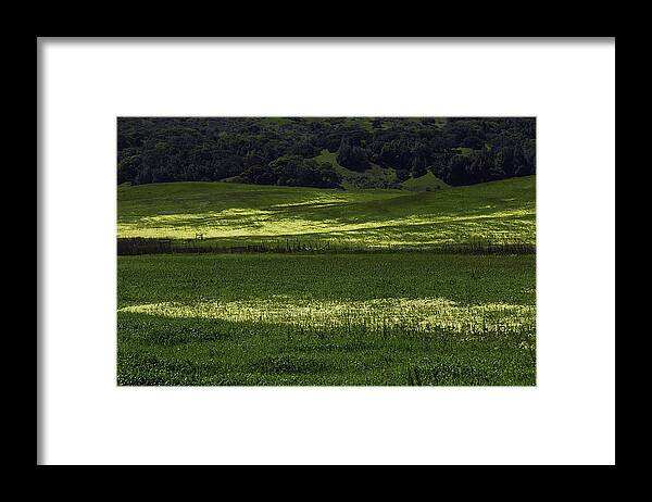 Green Framed Print featuring the photograph Spring Meadows Of Wildflowers by Garry Gay