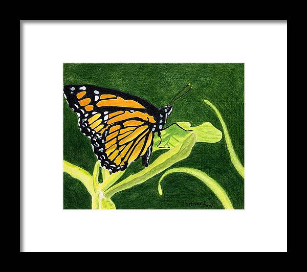 Animals Framed Print featuring the painting Spring Monarch by Wade Clark
