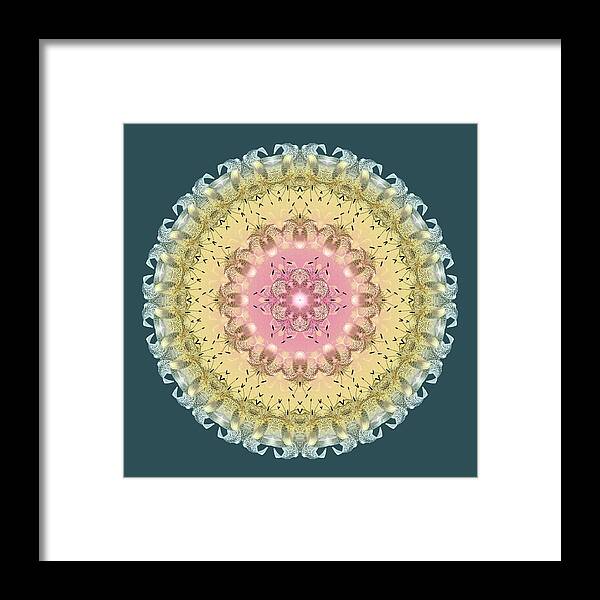 Tiger Lily Framed Print featuring the digital art Spring Pastels by Lynde Young