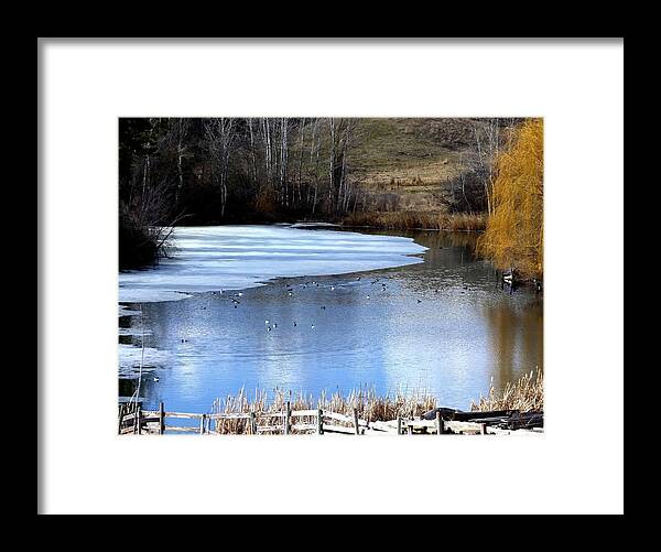 Pond Framed Print featuring the photograph Spring Pond by Will Borden