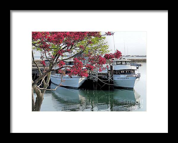 Spring Framed Print featuring the photograph Spring Seascape by Janice Drew