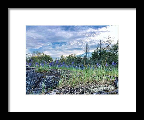 Sky Framed Print featuring the photograph Spring Sky by Brian Eberly