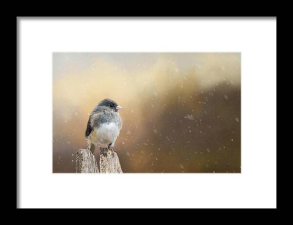 Snow Framed Print featuring the photograph Spring Snow by Cathy Kovarik