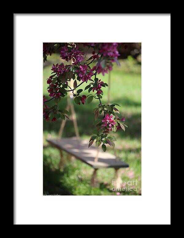 Flower Framed Print featuring the photograph Spring Swing by Susan Herber