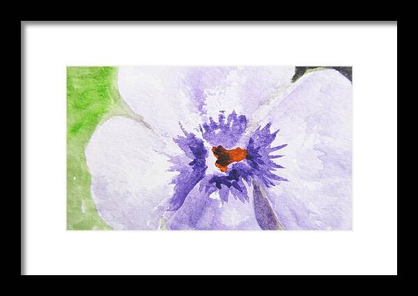 Pansy Framed Print featuring the painting Spring Thoughts by Trilby Cole