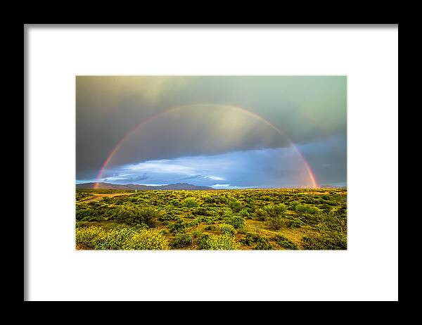Leclair Framed Print featuring the photograph Spring time in the desert by Stacy LeClair