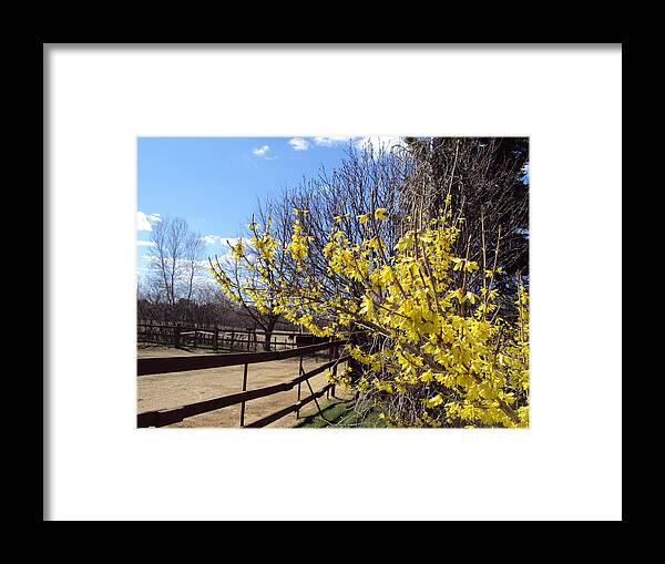  Framed Print featuring the photograph Spring Time by Line Gagne