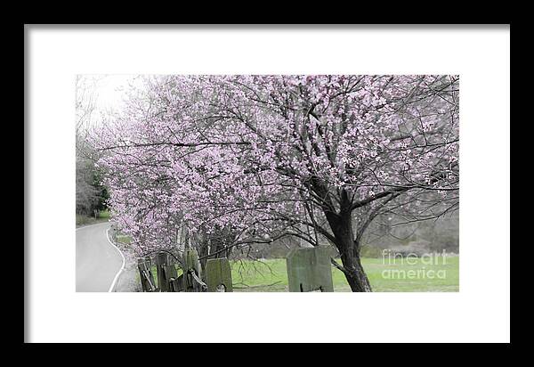 Virginia Framed Print featuring the photograph Spring trees by Agnes Caruso