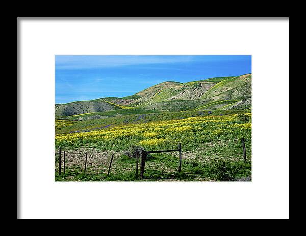 Temblor Range Framed Print featuring the photograph Spring Wildflowers on the Carrizo Plain Superbloom 2017 by Lynn Bauer
