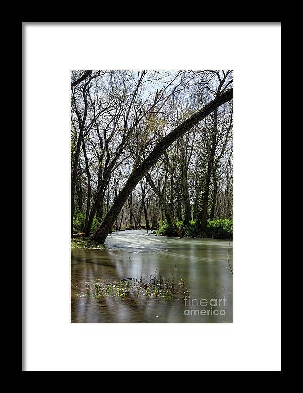 Ozarks Framed Print featuring the photograph Springtime At Finley by Jennifer White