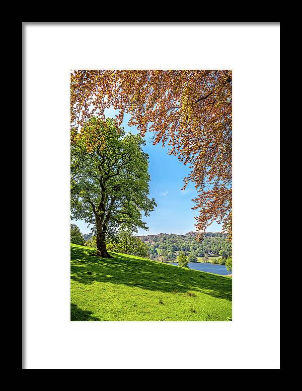 Green Framed Print featuring the photograph Springtime in Cumbria by W Chris Fooshee