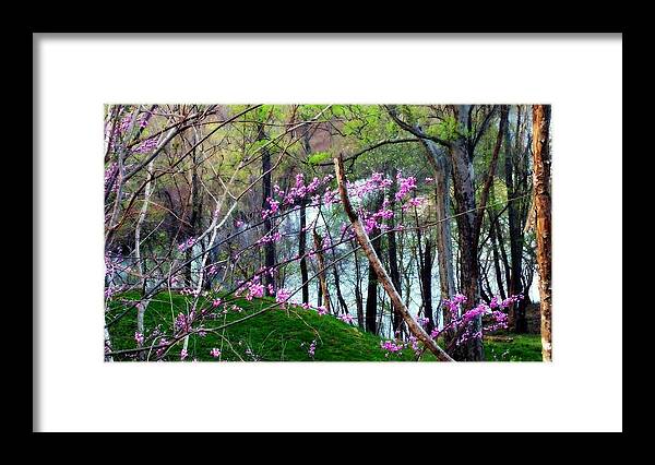 Spring Framed Print featuring the photograph Springtime in the Mountains 2 by Kathy Barney