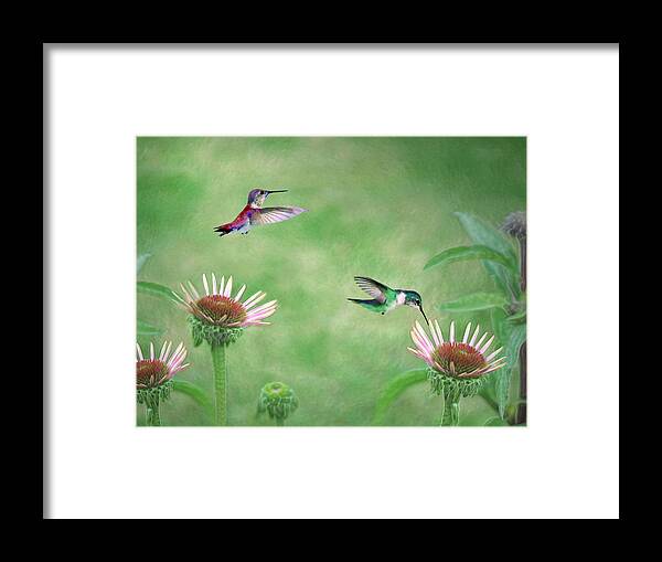 Hummingbirds Framed Print featuring the digital art Springtime Nectar by Vicki Lea Eggen