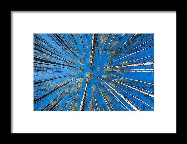Springtime Framed Print featuring the photograph Springtime by Torbjorn Swenelius