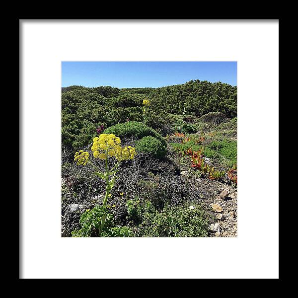 Beach Framed Print featuring the photograph Springtime Wildflowers along Coastal Hiking Trail - Portugal by Connie Sue White