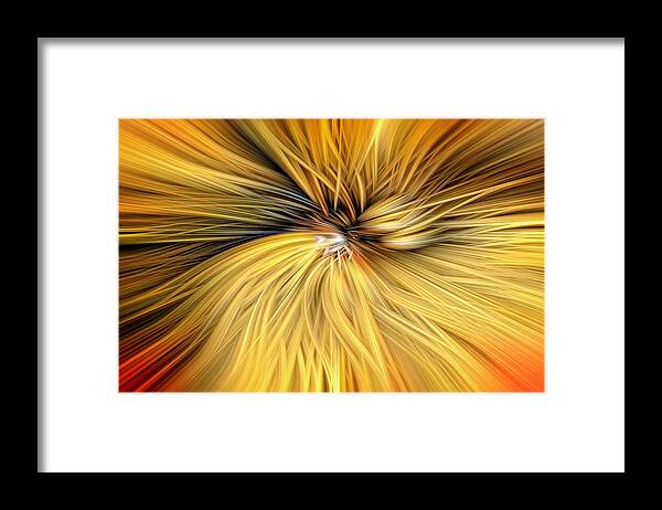Spun Gold Framed Print featuring the photograph Spun Gold by Wes and Dotty Weber