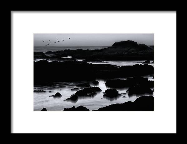 Pelicans Framed Print featuring the photograph Squadron of Pelicans At Dusk by Lawrence Knutsson