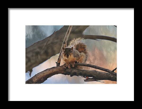 D'august Art Framed Print featuring the photograph Squirrel Buddy by Theresa Campbell