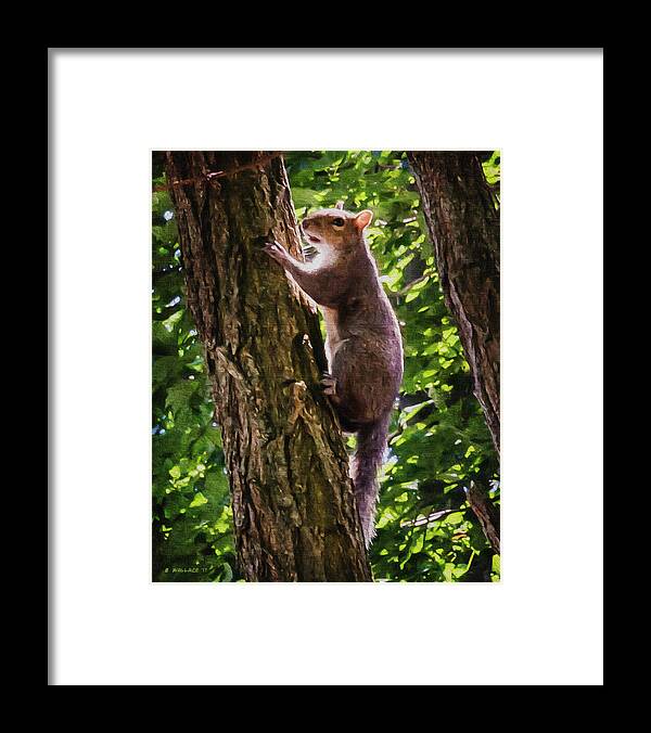 2d Framed Print featuring the digital art Squirrel On Tree - Paint FX by Brian Wallace