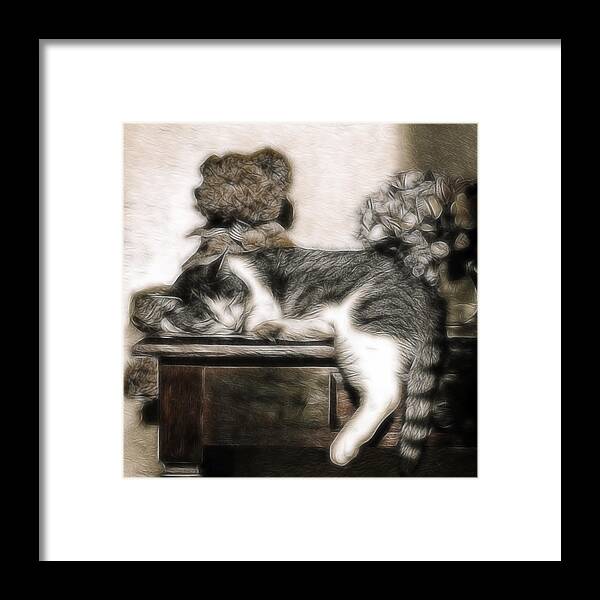 Still Life Framed Print featuring the photograph Ssssleeeping by Joachim G Pinkawa