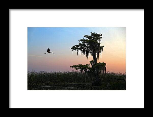 Tree Framed Print featuring the photograph St Augustine Morning by Robert Och