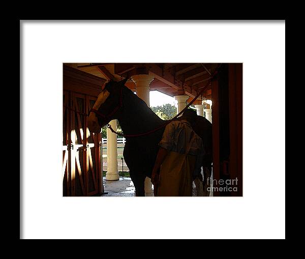 Horses Framed Print featuring the photograph Stable Groom - 2 by Linda Shafer