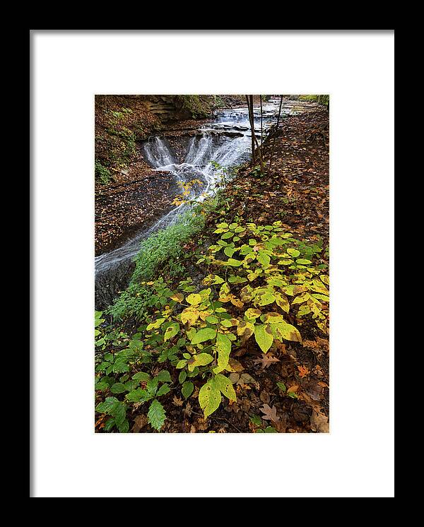 Standing On The Edge Framed Print featuring the photograph Standing On The Edge by Dale Kincaid