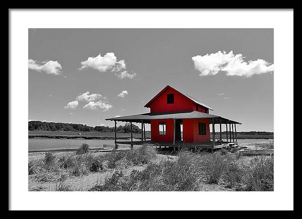 Grass Island Framed Print featuring the photograph Standing Out all Alone by Catie Canetti