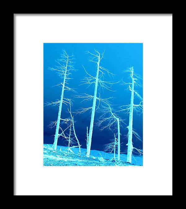 Trees Framed Print featuring the photograph Standing still  up on hwy 2509 by Marie Neder