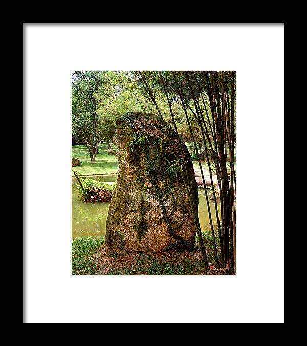 Standing Stone Framed Print featuring the photograph Standing Stone with Fern and Bamboo 19A by Gerry Gantt