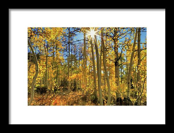 Logan Canyon Framed Print featuring the photograph Star Light by Donna Kennedy