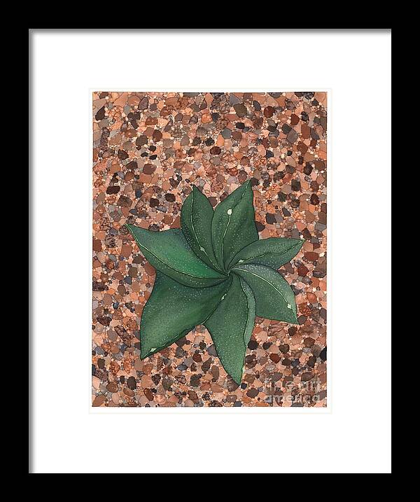 Succulent Framed Print featuring the painting Star Succulent by Hilda Wagner