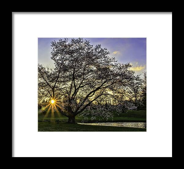 Landscape Framed Print featuring the photograph Starburst at Sunrise by Roberta Kayne