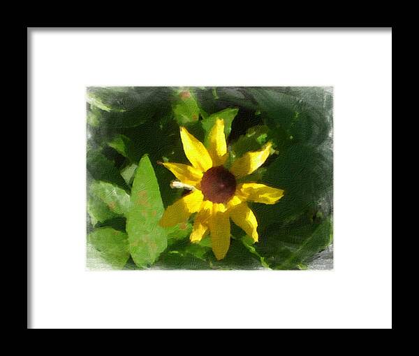 Flower Framed Print featuring the photograph Starburst in Oil by Linda ONeill