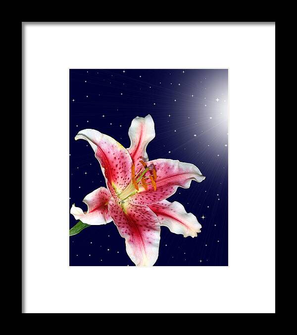Lily Framed Print featuring the photograph Stargazing by Kristin Elmquist