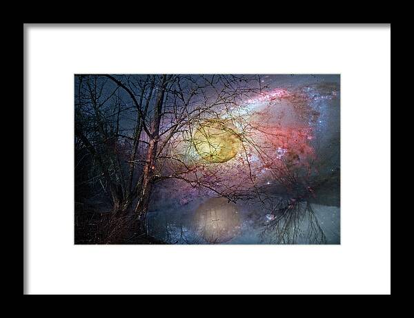 Appalachia Framed Print featuring the photograph Stars in the Forest by Debra and Dave Vanderlaan
