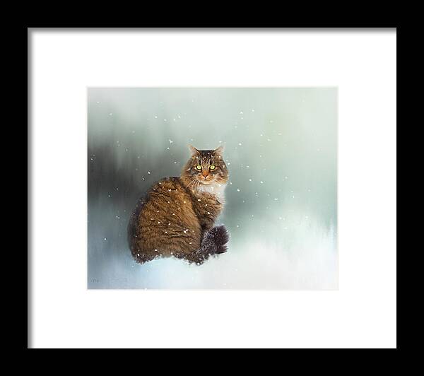 Theresa Tahara Framed Print featuring the photograph Starting To Snow Again by Theresa Tahara