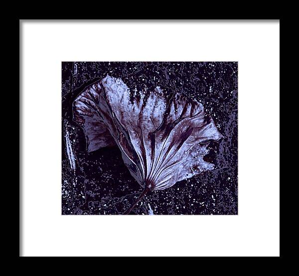Sepia Abstract Framed Print featuring the photograph Steel Blossom by Andrea Lazar
