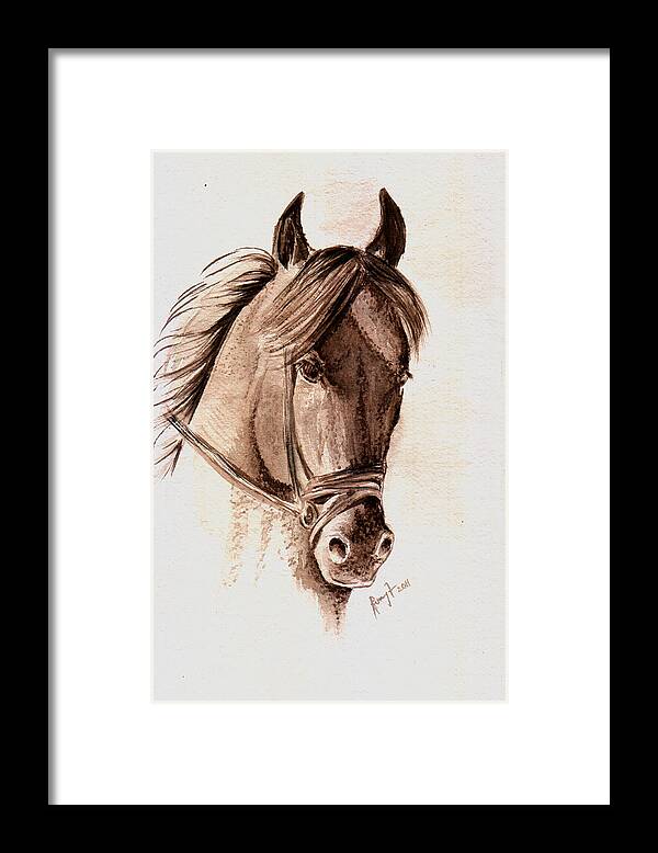 Fine Art Horses Framed Print featuring the painting Steely Black Stallion by Remy Francis