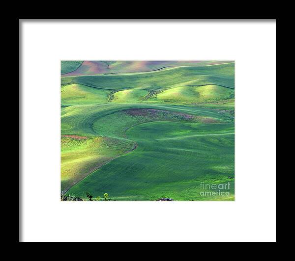Washington State Framed Print featuring the photograph Morning on the Palouse by Don Siebel