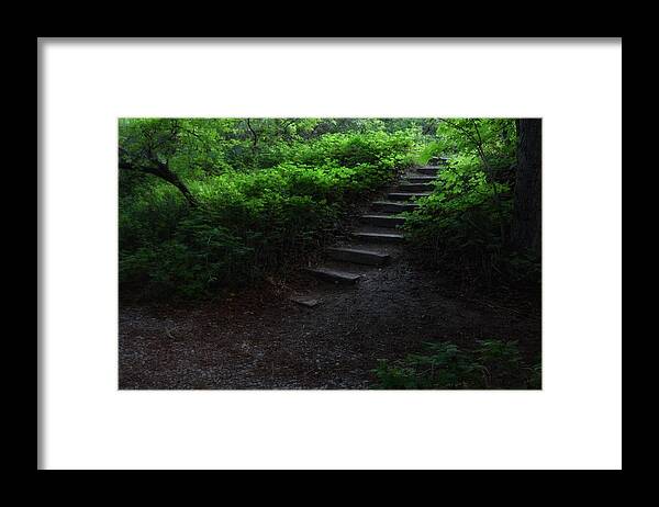 Step Framed Print featuring the photograph Step into the Light by Buck Buchanan