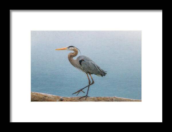 Heron Framed Print featuring the photograph Stepping Out by Ola Allen
