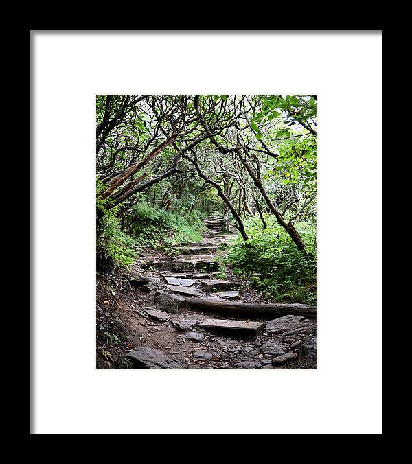 Forest Framed Print featuring the photograph Steps Into the Enchanted Forest by Gary Smith